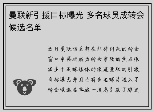 曼联新引援目标曝光 多名球员成转会候选名单